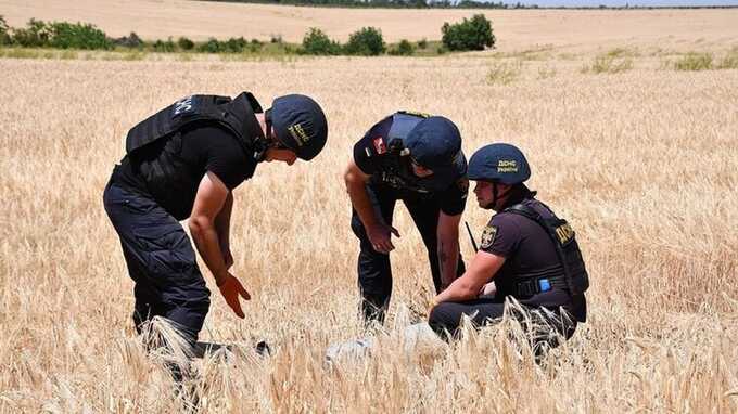 Под Берлином кто-то выкосил в поле огромную свастику, которую увидели с высоты птичьего полета