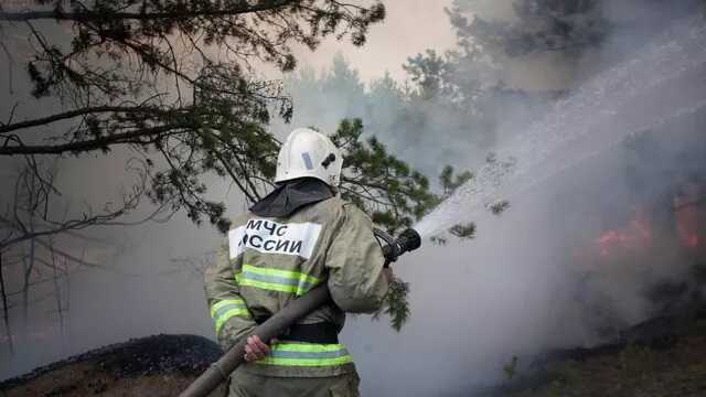 В Саратовской области женщина в общаге подожгла свои вещи из-за ссор с соседями и сбежала