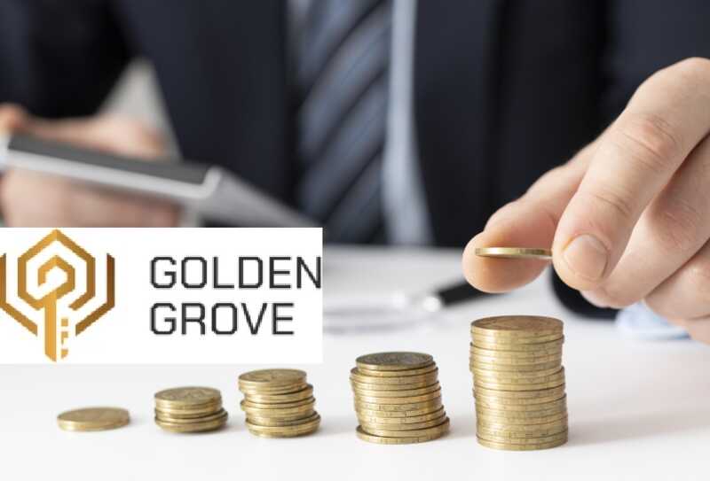 Обзор Golden Grove: перезапуск пирамидальной схемы от GoldenWay