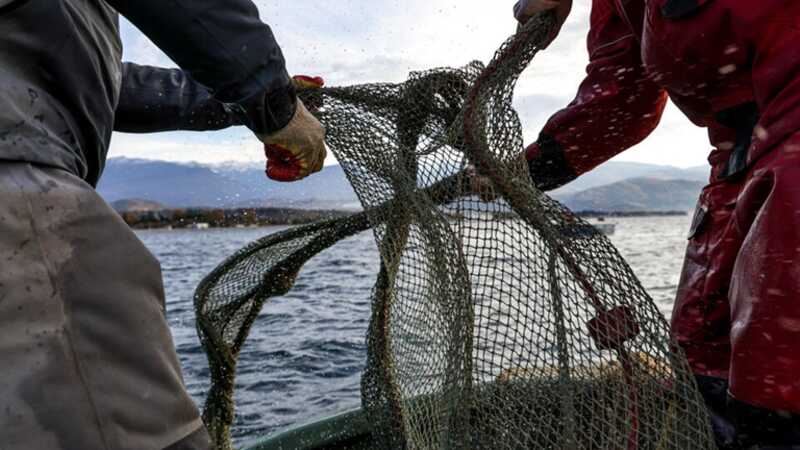 Украина использует бывшие в употреблении рыболовные сети из Швеции и Дании для обороны от беспилотников