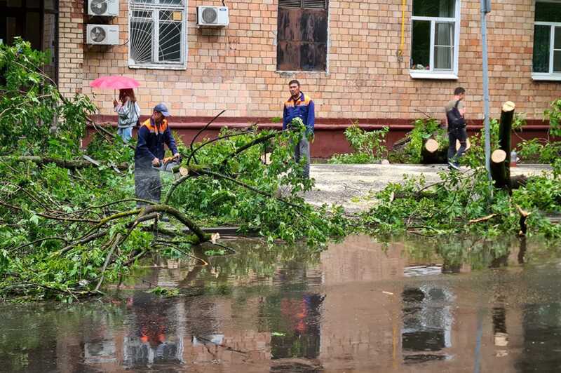 В интернете появились снимки последствий мощного урагана в Москве