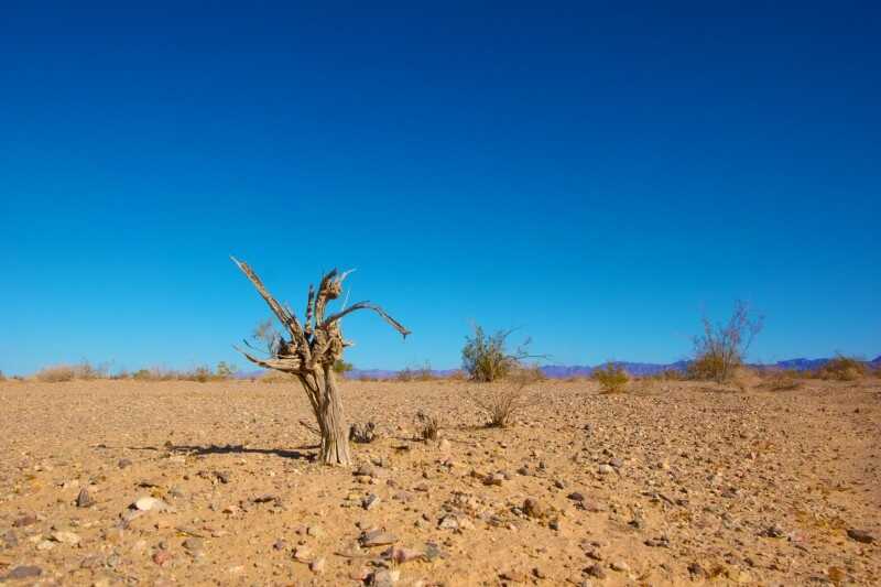 Hashtags around rejecting climate change see a rise in Gulf social media during major global environmental events